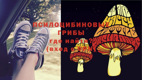 дурь Наволоки