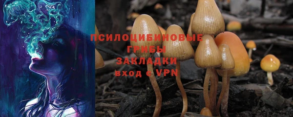 дмт Надым